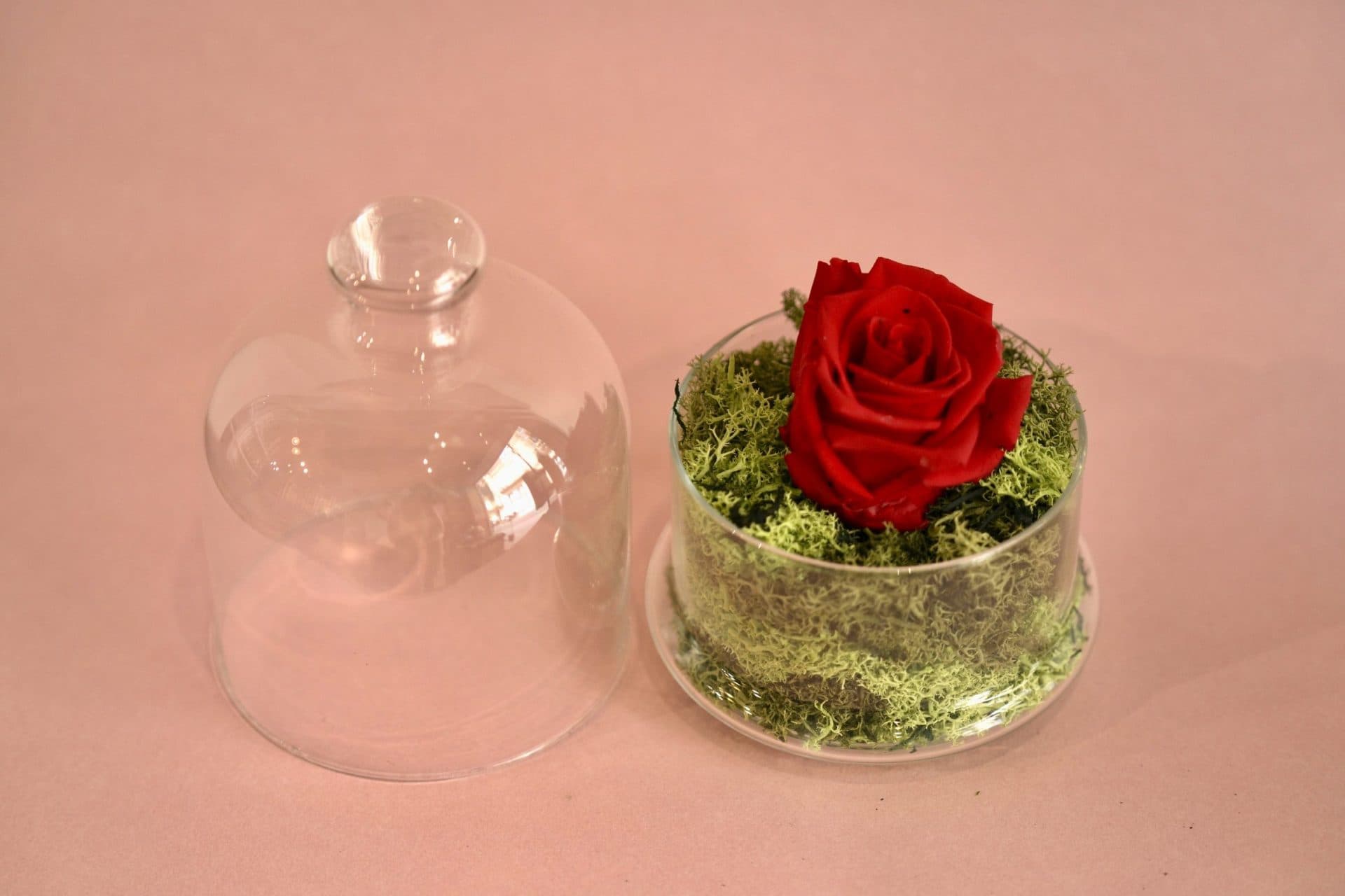 rosa eterna natural preservada