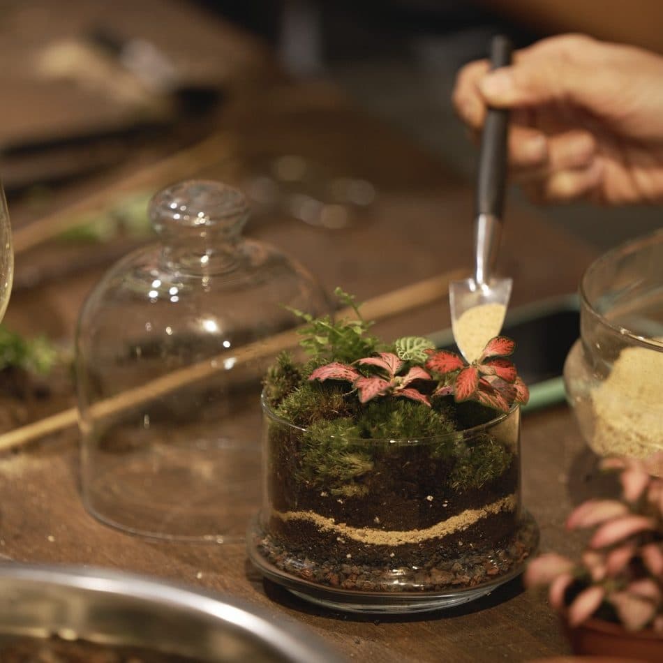 talleres con plantas para niños y adultos