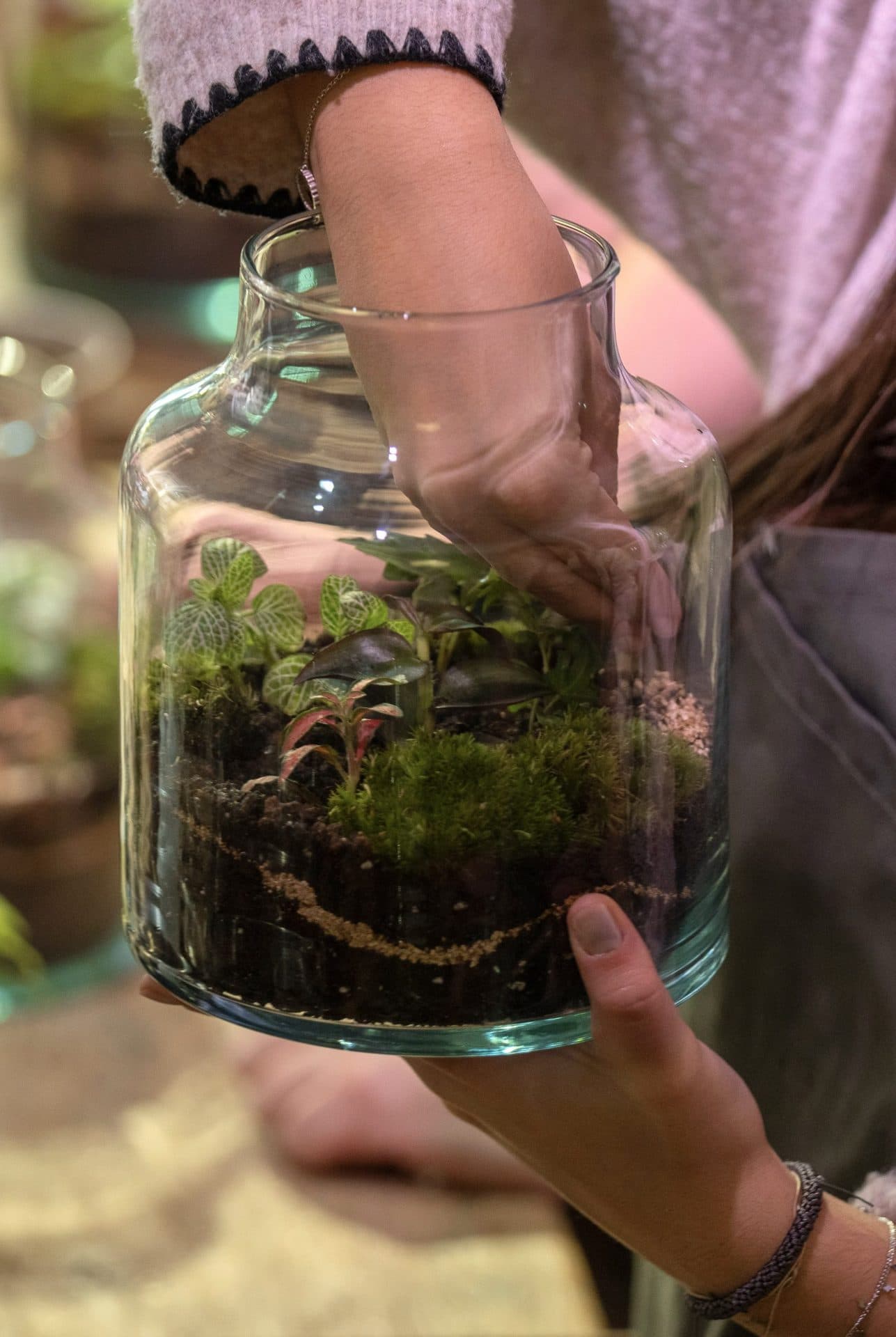 Team Buildings en Barcelona con plantas