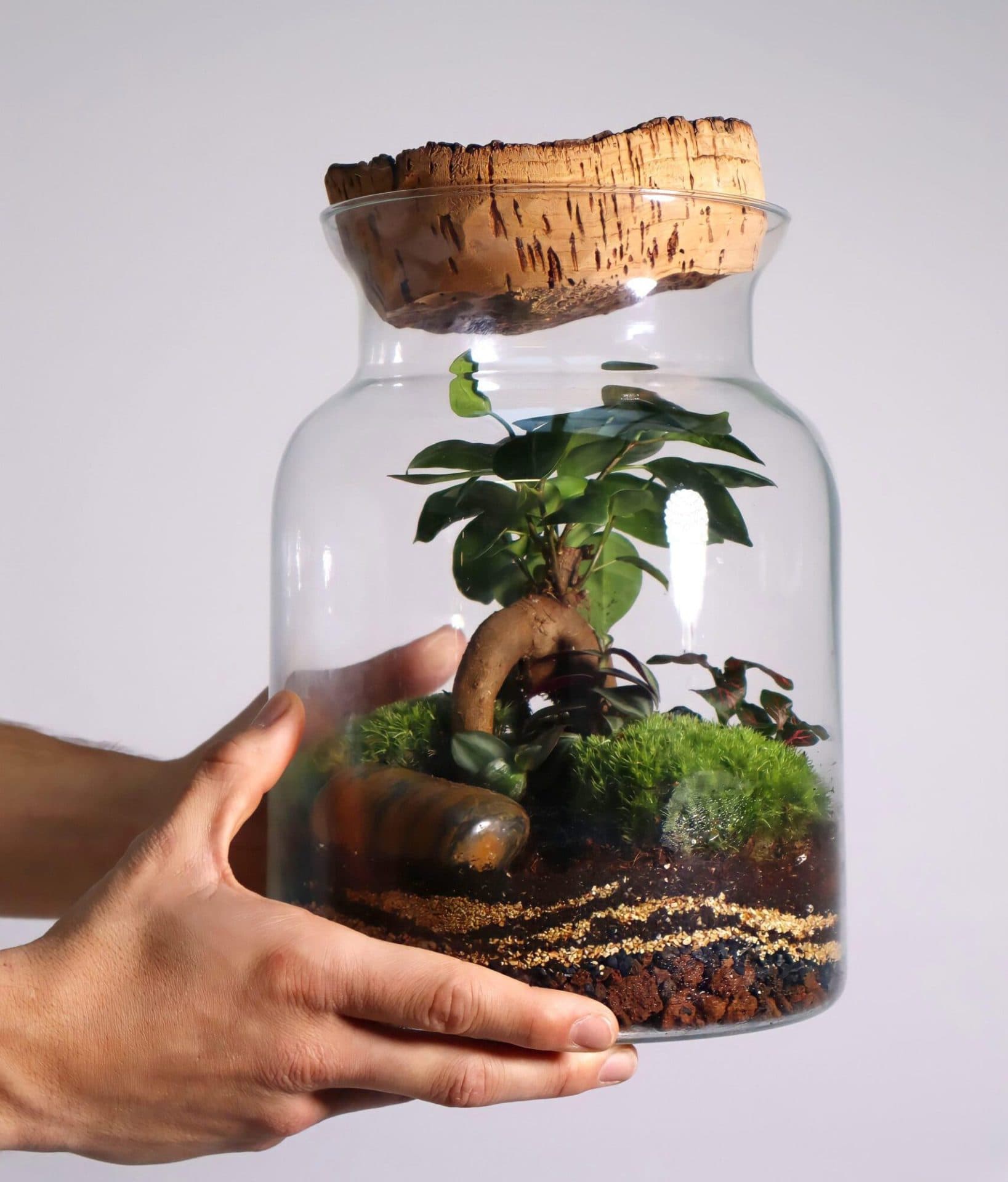 Rustic Jungle