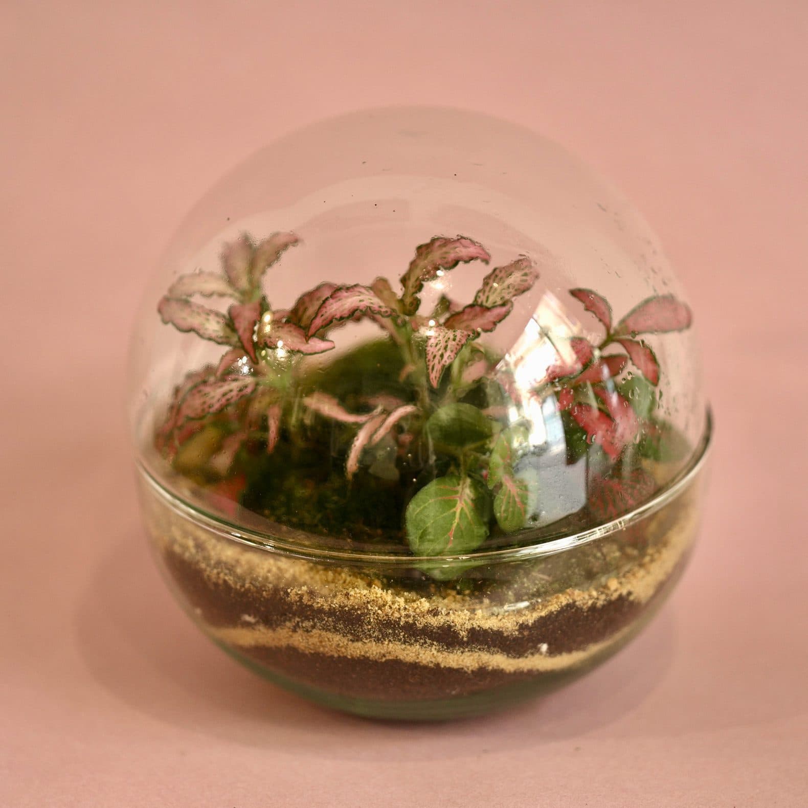 Fit ball