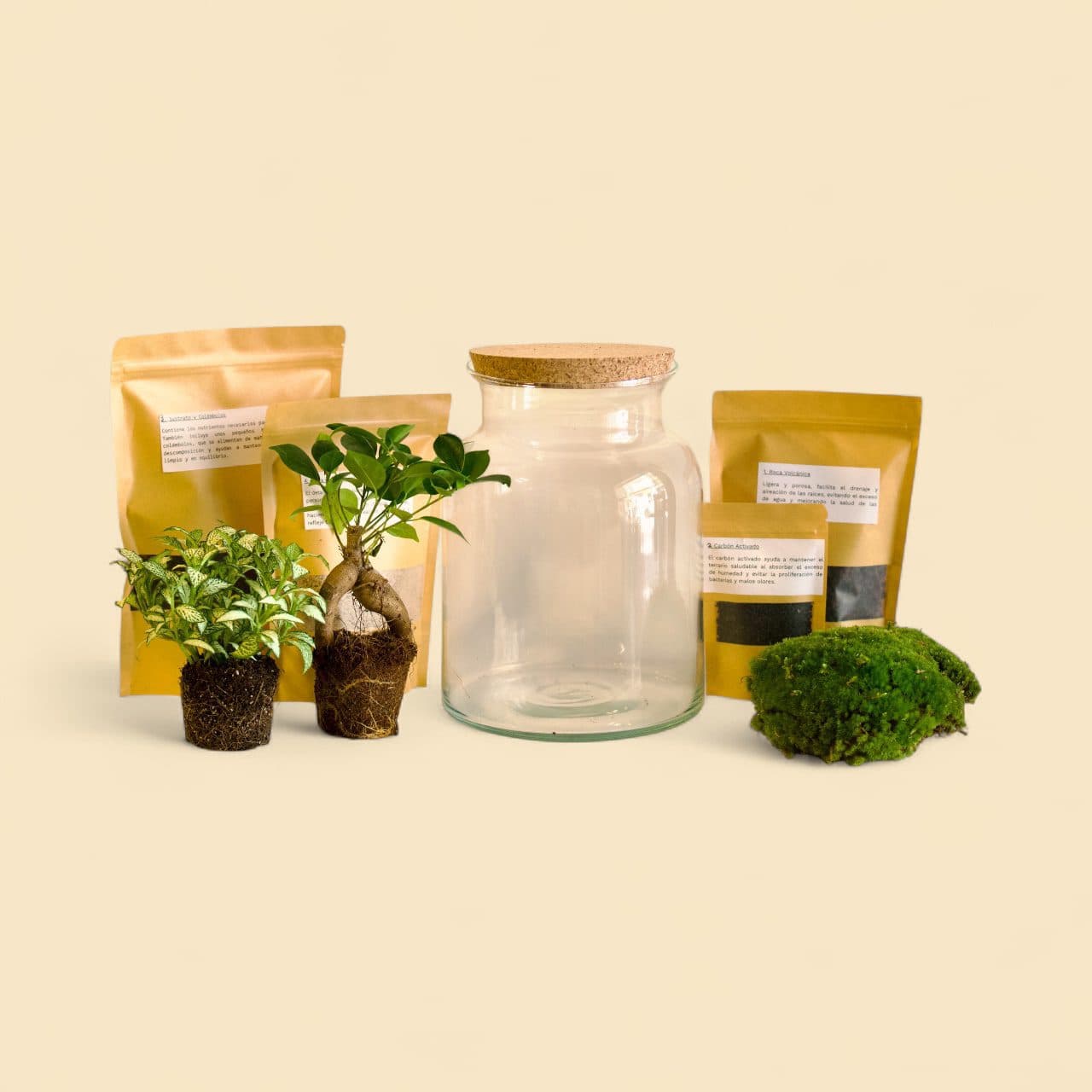 KIT DIY para Terrarios – Recipiente Cristal con Tapón Rústico