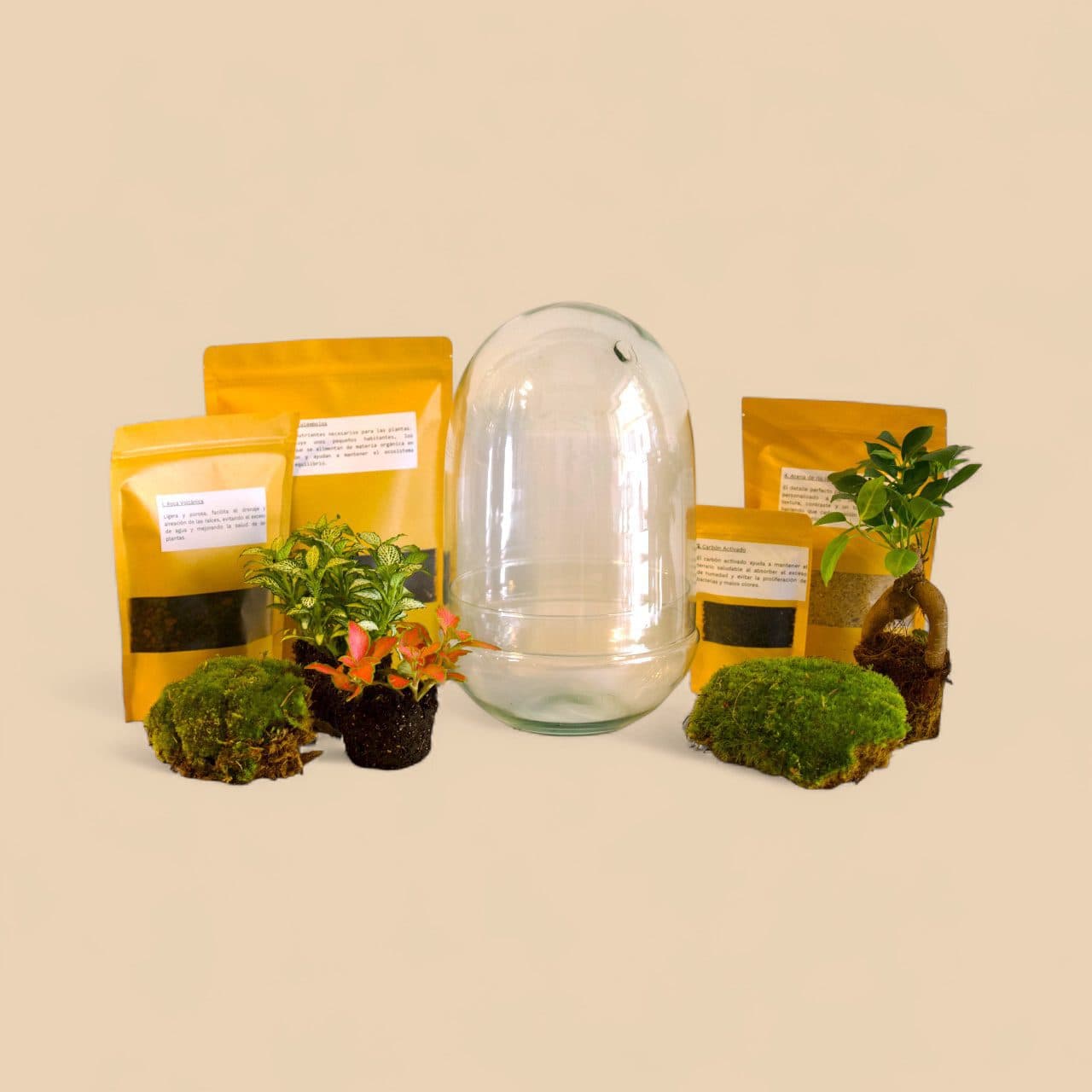 KIT DIY para Terrarios – Cúpula Cristal Reciclado