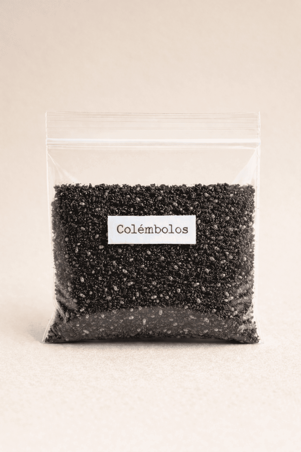 Colémbolos para terrarios
